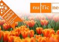 Beasiswa “Orange Tulip”